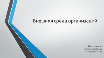 Внешняя среда организации