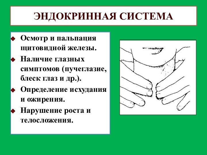 ЭНДОКРИННАЯ СИСТЕМАОсмотр и пальпация щитовидной железы.Наличие глазных симптомов (пучеглазие, блеск глаз и