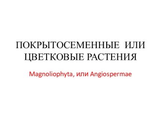 Покрытосеменные или цветковые растения. Magnoliophyta, или Angiospermae