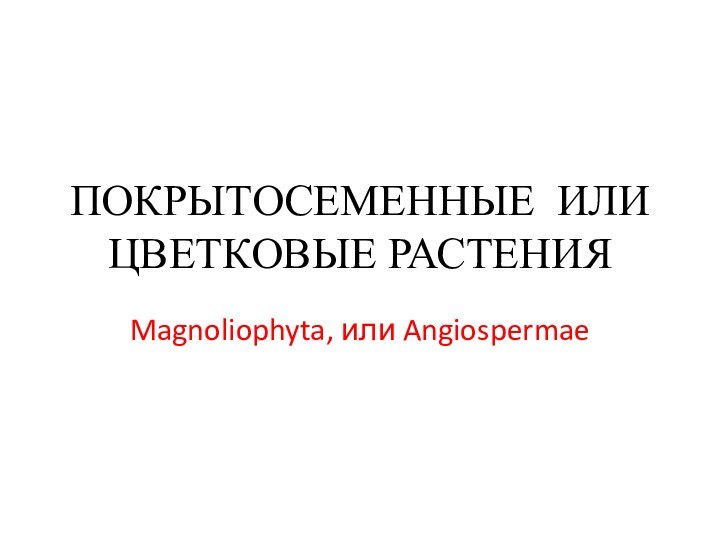 ПОКРЫТОСЕМЕННЫЕ ИЛИ ЦВЕТКОВЫЕ РАСТЕНИЯMagnoliophyta, или Angiospermae