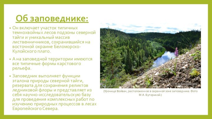 Об заповеднике:Он включает участок типичных темнохвойных лесов подзоны северной тайги и уникальный