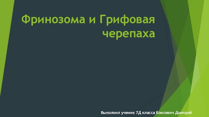 Фринозома и Грифовая черепахаВыполнил ученик 7Д класса Бонсевич Дмитрий