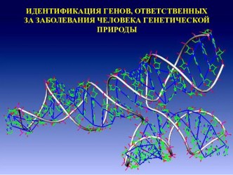 Идентификация генов, ответственных за заболевания человека генетической природы