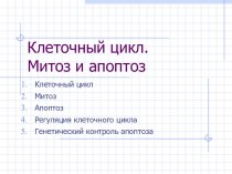 Клеточный цикл. Митоз и апоптоз