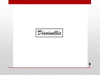Dissimsllis. Общий анализ. Анализ конкурентов