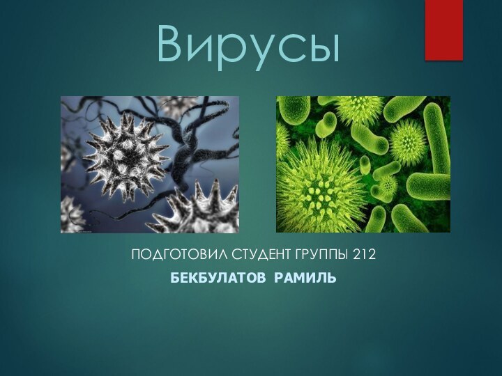 ВирусыПОДГОТОВИЛ СТУДЕНТ ГРУППЫ 212БЕКБУЛАТОВ РАМИЛЬ