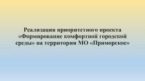 Реализация приоритетного проекта Формирование комфортной городской среды на территории МО Приморское