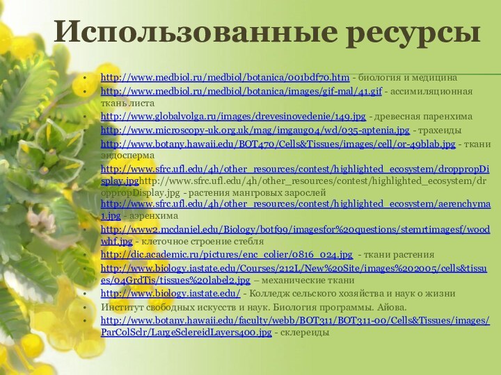 http://www.medbiol.ru/medbiol/botanica/001bdf70.htm - биология и медицинаhttp://www.medbiol.ru/medbiol/botanica/images/gif-mal/41.gif - ассимиляционная ткань листаhttp://www.globalvolga.ru/images/drevesinovedenie/149.jpg - древесная паренхимаhttp://www.microscopy-uk.org.uk/mag/imgaug04/wd/035-aptenia.jpg