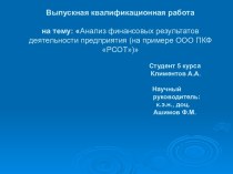 Анализ финансовых результатов деятельности предприятия (на примере ООО ПКФ РСОТ)