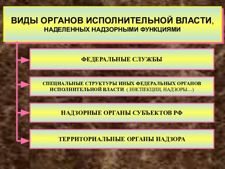 ВИДЫ ОРГАНОВ ИСПОЛНИТЕЛЬНОЙ ВЛАСТИ, НАДЕЛЕННЫХ НАДЗОРНЫМИ ФУНКЦИЯМИФЕДЕРАЛЬНЫЕ СЛУЖБЫСПЕЦИАЛЬНЫЕ СТРУКТУРЫ ИНЫХ ФЕДЕРАЛЬНЫХ ОРГАНОВ