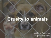 Cruelty to animals