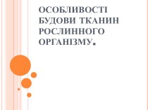 Особливості будови тканин рослинного організму