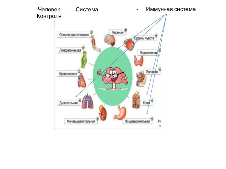 Человек  -    Система Контроля