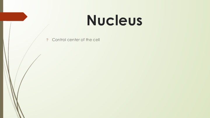 NucleusControl center of the cell