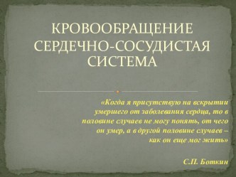 Кровообращение. Сердечно-сосудистая система