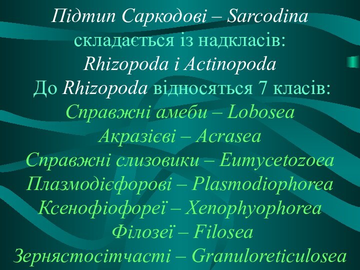 Підтип Саркодові – Sarcodina складається із надкласів:  Rhizopoda i Actinopoda