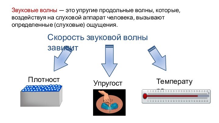 Звуковые волны — это упругие продольные волны, которые, воздействуя на слуховой аппарат