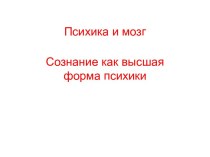 Психика и мозг. Сознание как высшая форма психики