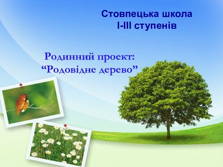 Стовпецька школа         І-ІІІ ступенів Родинний проект:“Родовідне дерево”