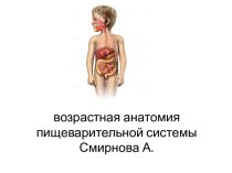 Возрастная анатомия пищеварительной системы