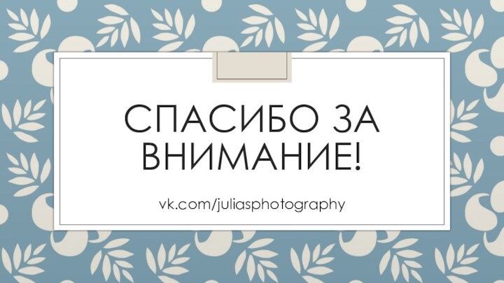 СПАСИБО ЗА ВНИМАНИЕ!vk.com/juliasphotography