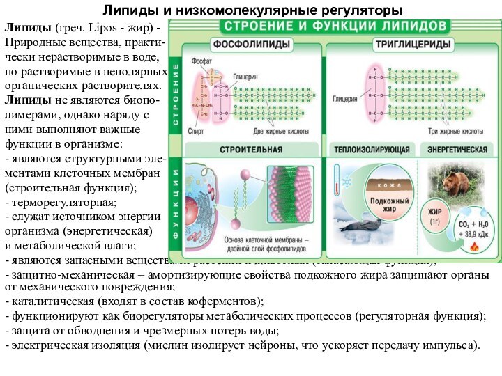 Липиды и низкомолекулярные регуляторыЛипиды (греч. Lipos - жир) - Природные вещества, практи-чески