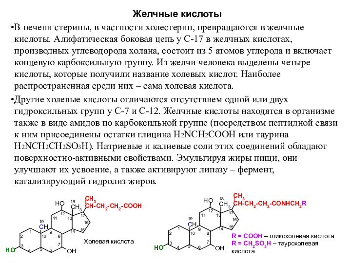 Желчные кислотыВ печени стерины, в частности холестерин, превращаются в желчные кислоты. Алифатическая