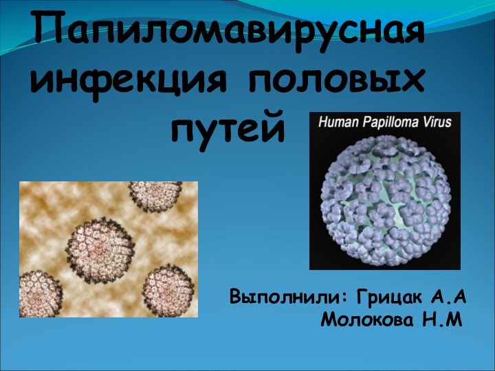 Папиломавирусная инфекция половых путейВыполнили: Грицак А.А	    Молокова Н.М