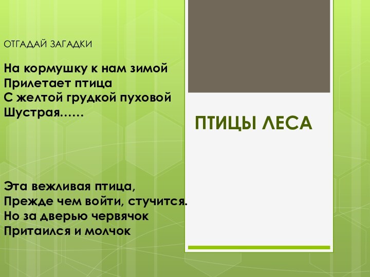 ПТИЦЫ ЛЕСАОТГАДАЙ ЗАГАДКИНа кормушку к нам зимой Прилетает птицаС желтой грудкой пуховойШустрая……Эта