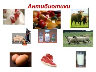 Антибиотики. Классификация антибиотиков