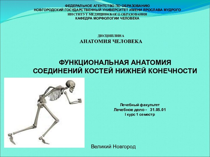 ФЕДЕРАЛЬНОЕ АГЕНТСТВО ПО ОБРАЗОВАНИЮНОВГОРОДСКИЙ ГОСУДАРСТВЕННЫЙ УНИВЕРСИТЕТ ИМЕНИ ЯРОСЛАВА МУДРОГОИНСТИТУТ МЕДИЦИНСКОГО ОБРАЗОВАНИЯКАФЕДРА МОРФОЛОГИИ