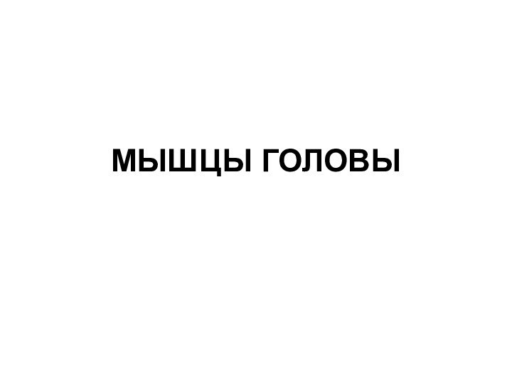 МЫШЦЫ ГОЛОВЫ