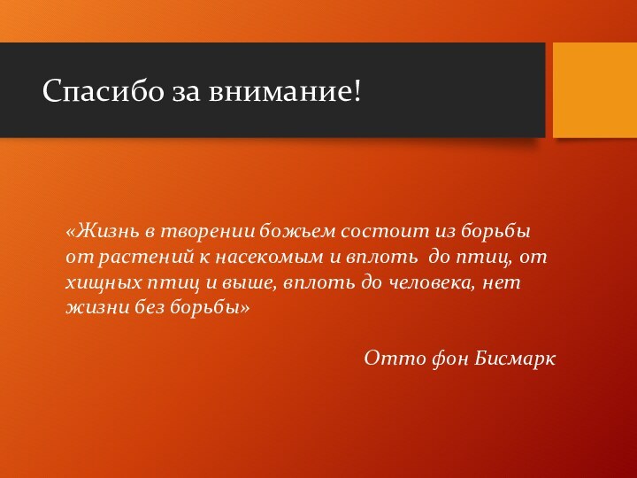 Спасибо за внимание!«Жизнь в творении божьем состоит из борьбы от растений к