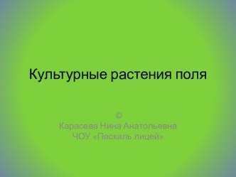 Культурные растения поля