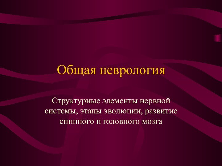 Общая неврологияСтруктурные элементы нервной системы, этапы эволюции, развитие спинного и головного мозга