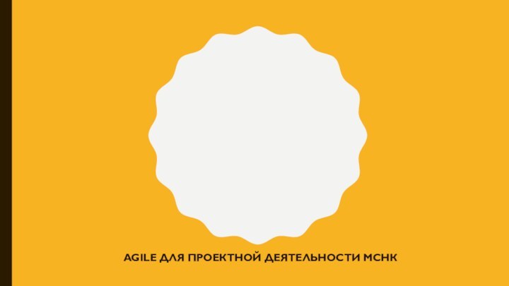 AGILE ДЛЯ ПРОЕКТНОЙ ДЕЯТЕЛЬНОСТИ МСНК