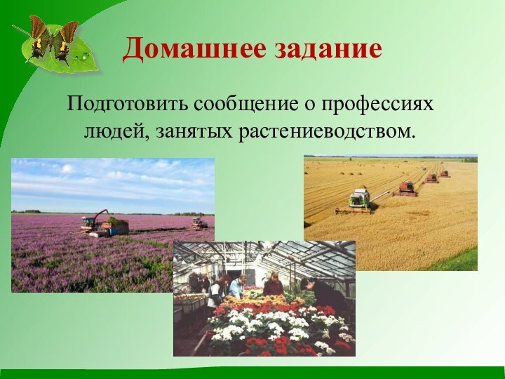 Домашнее заданиеПодготовить сообщение о профессиях людей, занятых растениеводством.