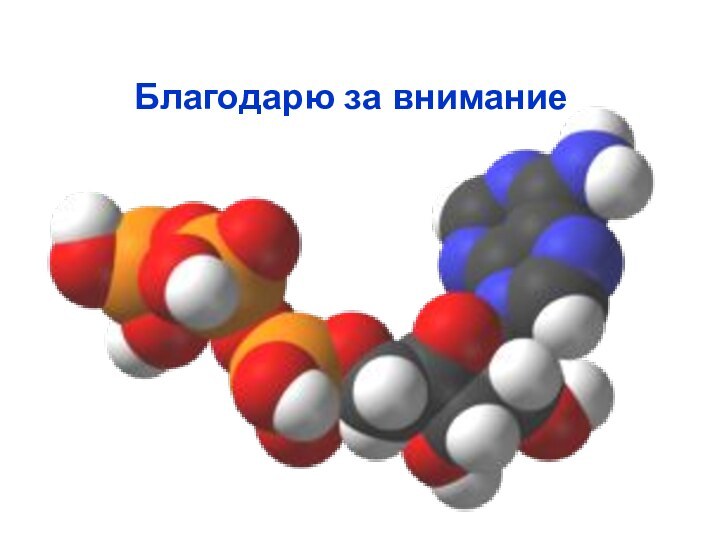 Благодарю за внимание