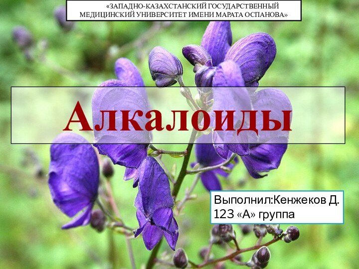 АлкалоидыВыполнил:Кенжеков Д. 123 «А» группа     «ЗАПАДНО-КАЗАХСТАНСКИЙ ГОСУДАРСТВЕННЫЙ МЕДИЦИНСКИЙ