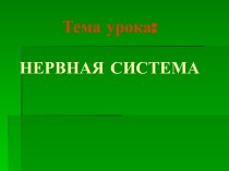 Тема урока: нервная система