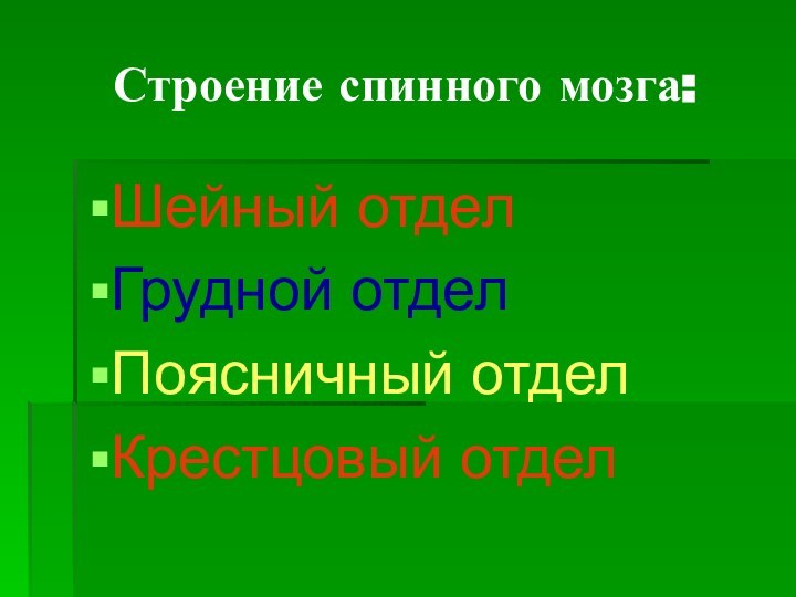 Строение спинного мозга:Шейный отделГрудной отделПоясничный отделКрестцовый отдел