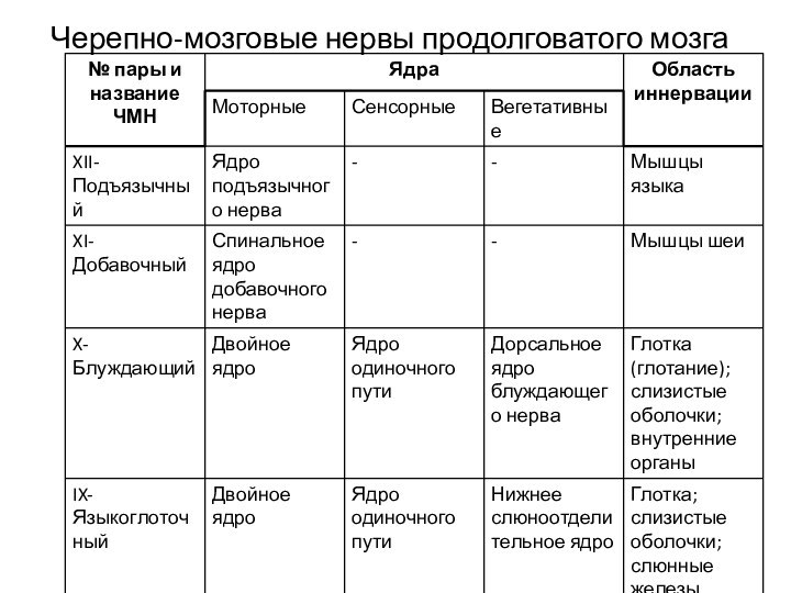 Черепно-мозговые нервы продолговатого мозга