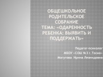 Одаренность ребенка: выявить и поддержать