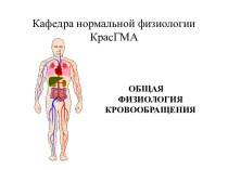 Общая физиология кровообращения. Функции системы кровообращения