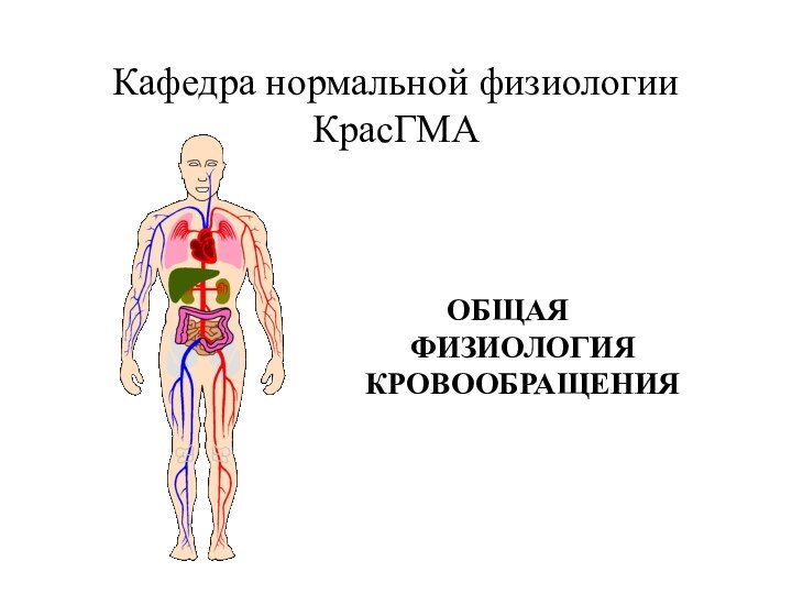 Кафедра нормальной физиологии КрасГМАОБЩАЯ ФИЗИОЛОГИЯ КРОВООБРАЩЕНИЯ