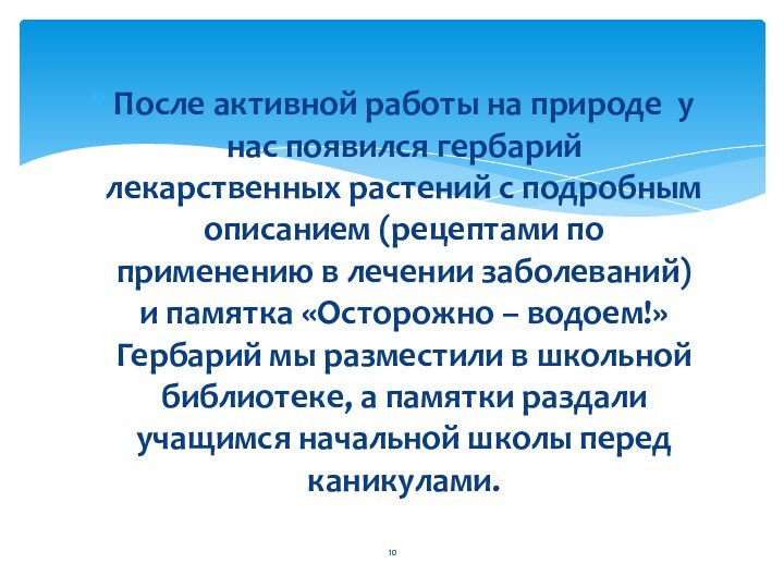 После активной работы на природе у нас появился гербарий лекарственных растений с