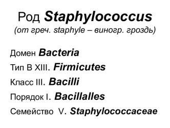 Род Staphylococcus (Стафилококки)