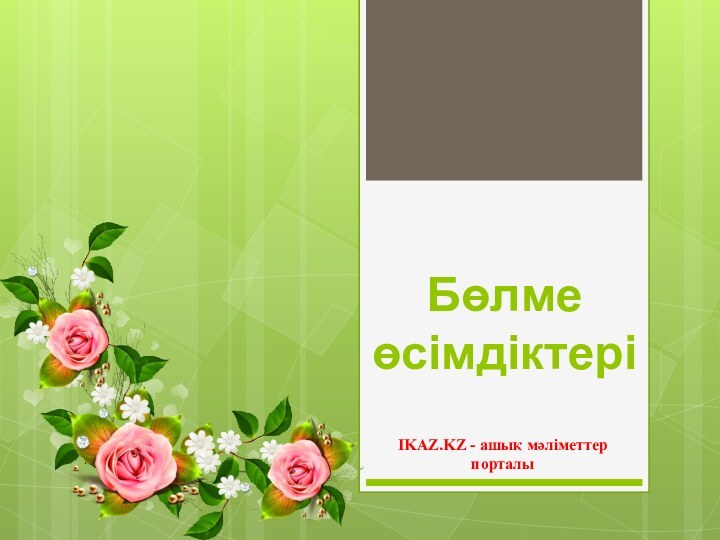 Бөлме өсімдіктеріIKAZ.KZ - ашық мәліметтер порталы