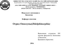 Отряд Опоссумы (Didelphimorphia)