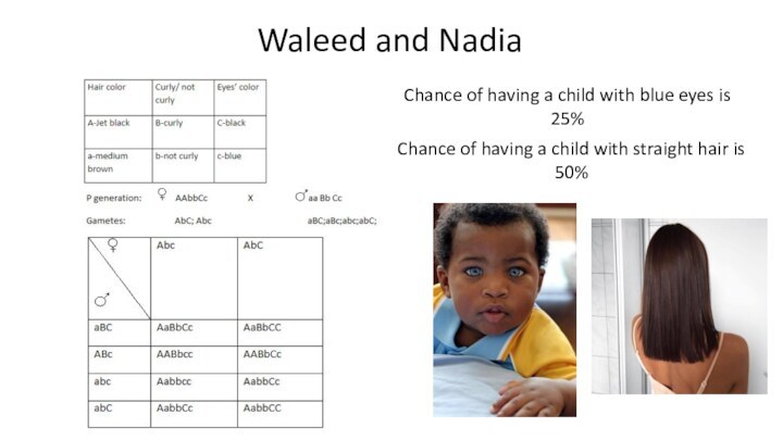 Waleed and NadiaChance of having a child with blue eyes is 25%Chance